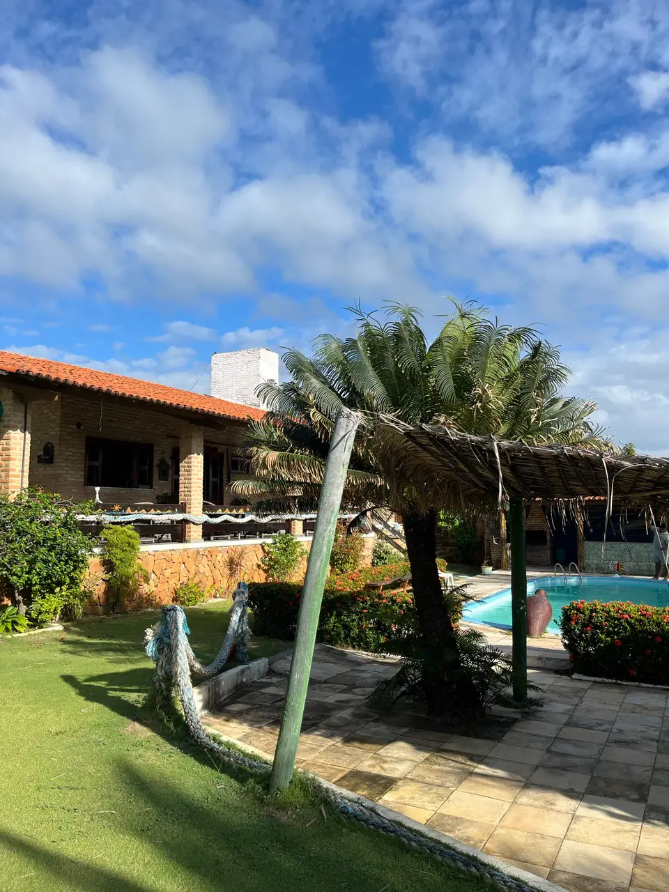Coqueiro e caminho de pedra até a piscina